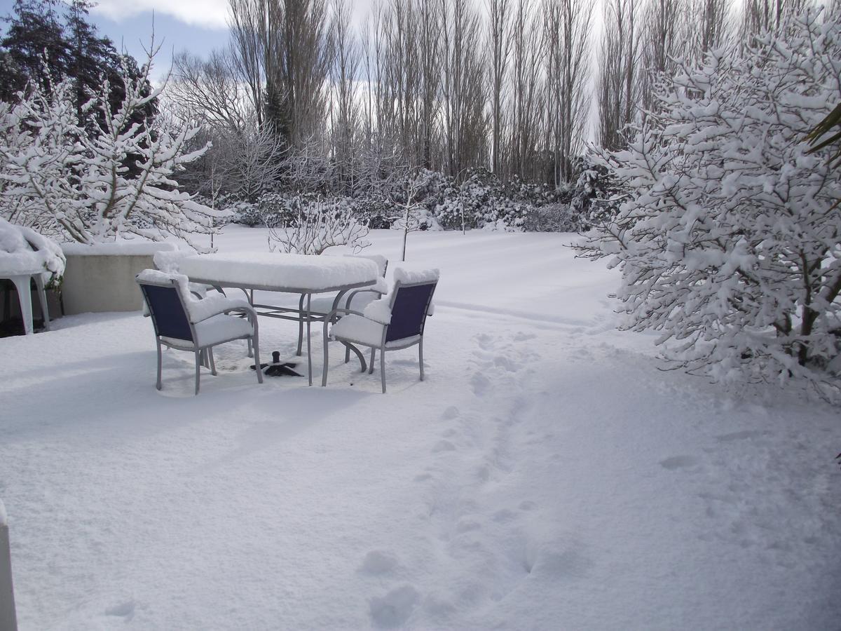 Shamrock Garden B&B Airport Christchurch Exteriör bild