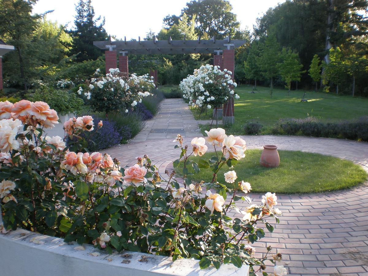 Shamrock Garden B&B Airport Christchurch Exteriör bild