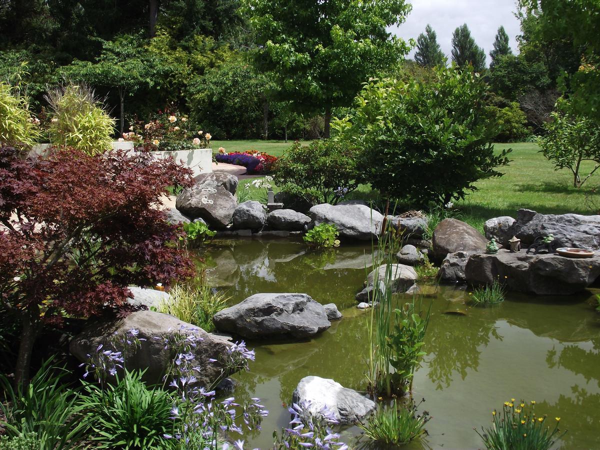 Shamrock Garden B&B Airport Christchurch Exteriör bild