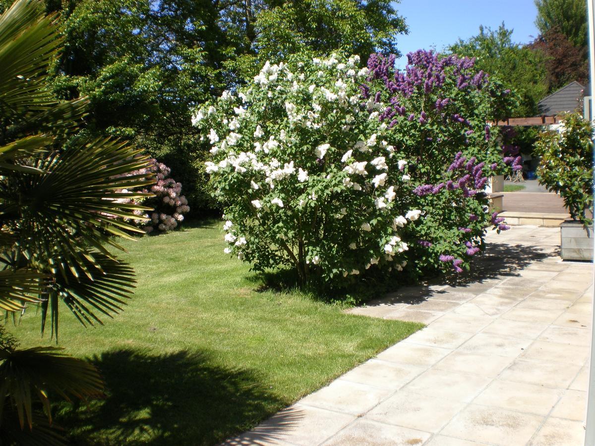 Shamrock Garden B&B Airport Christchurch Exteriör bild