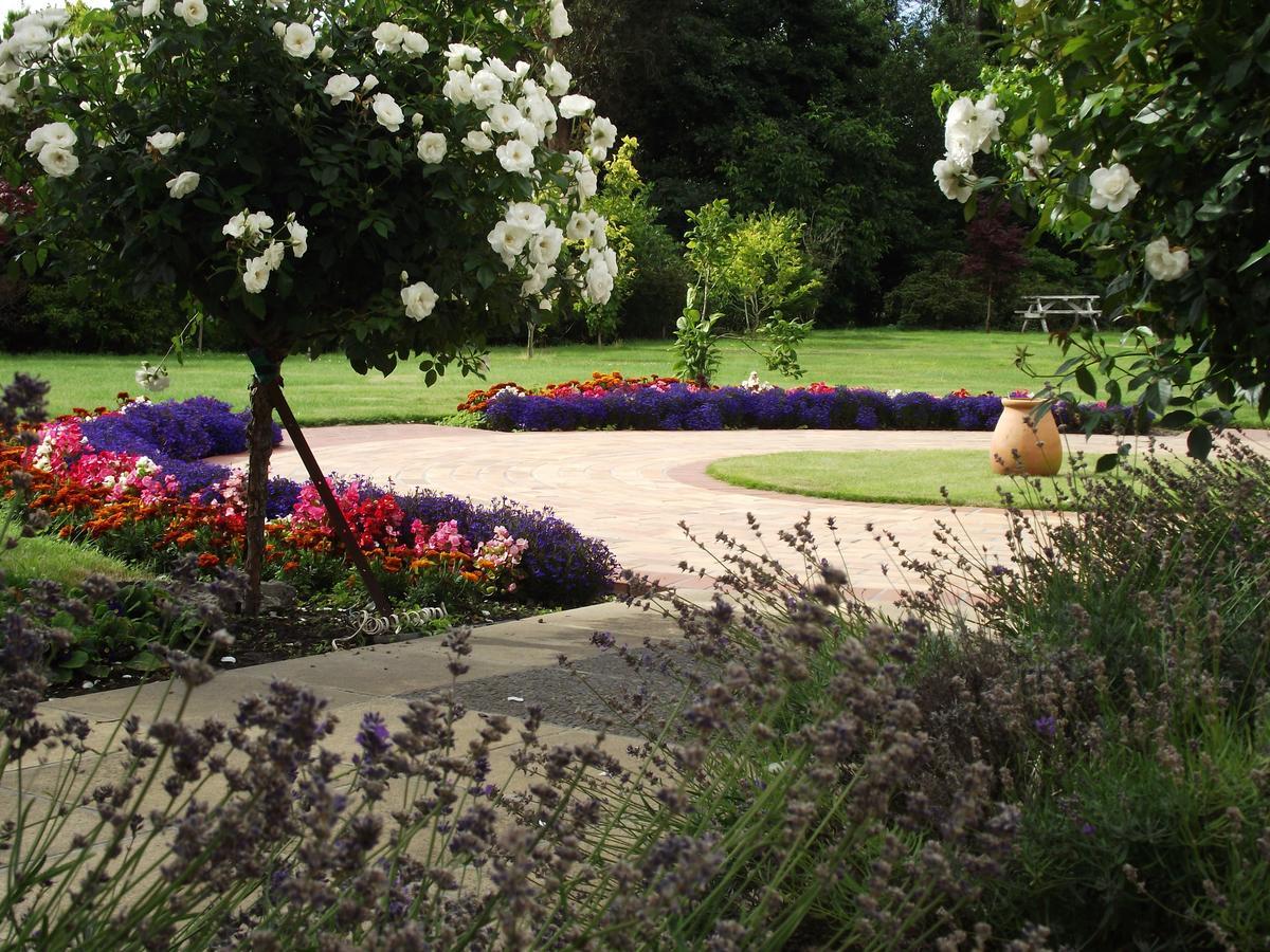 Shamrock Garden B&B Airport Christchurch Exteriör bild