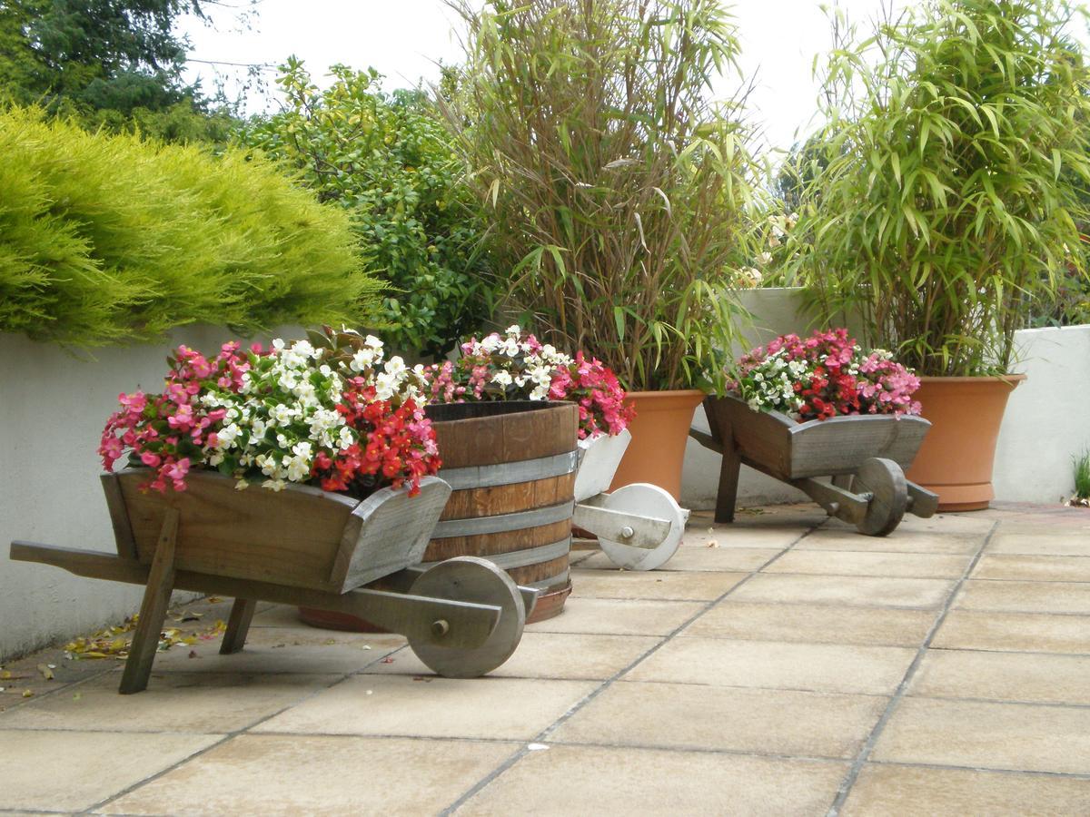 Shamrock Garden B&B Airport Christchurch Exteriör bild