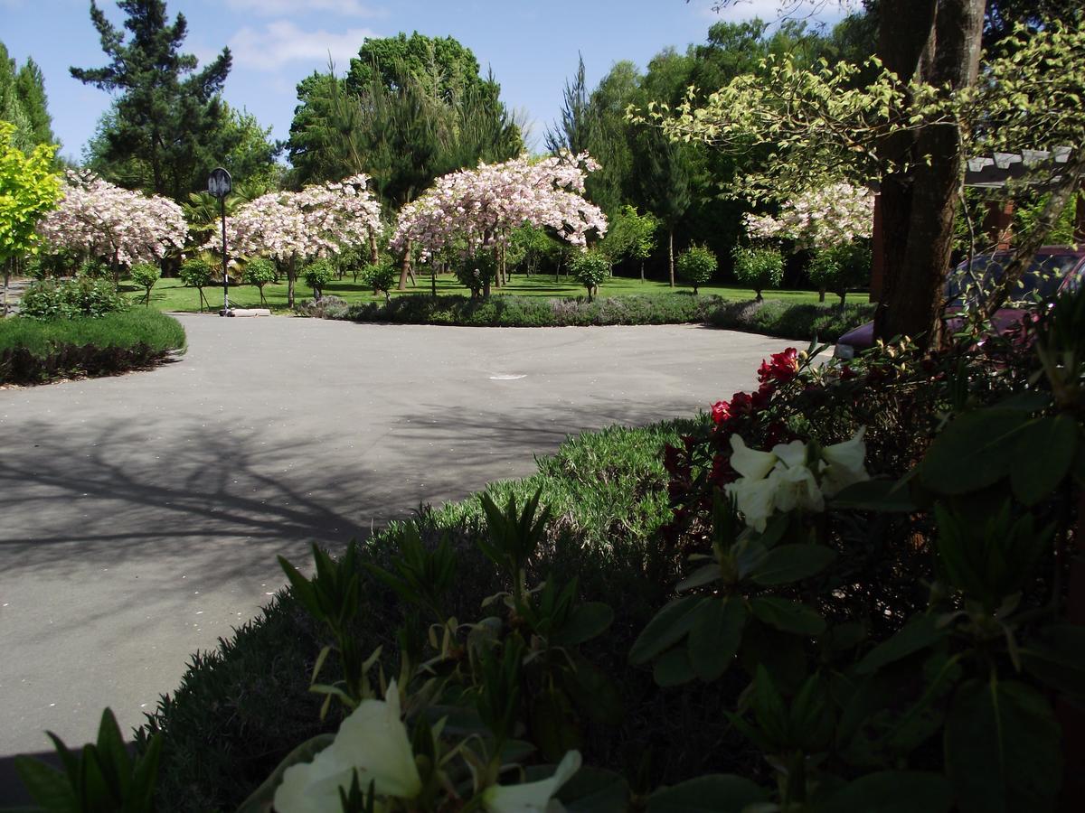 Shamrock Garden B&B Airport Christchurch Exteriör bild