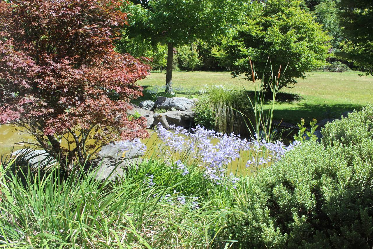 Shamrock Garden B&B Airport Christchurch Exteriör bild