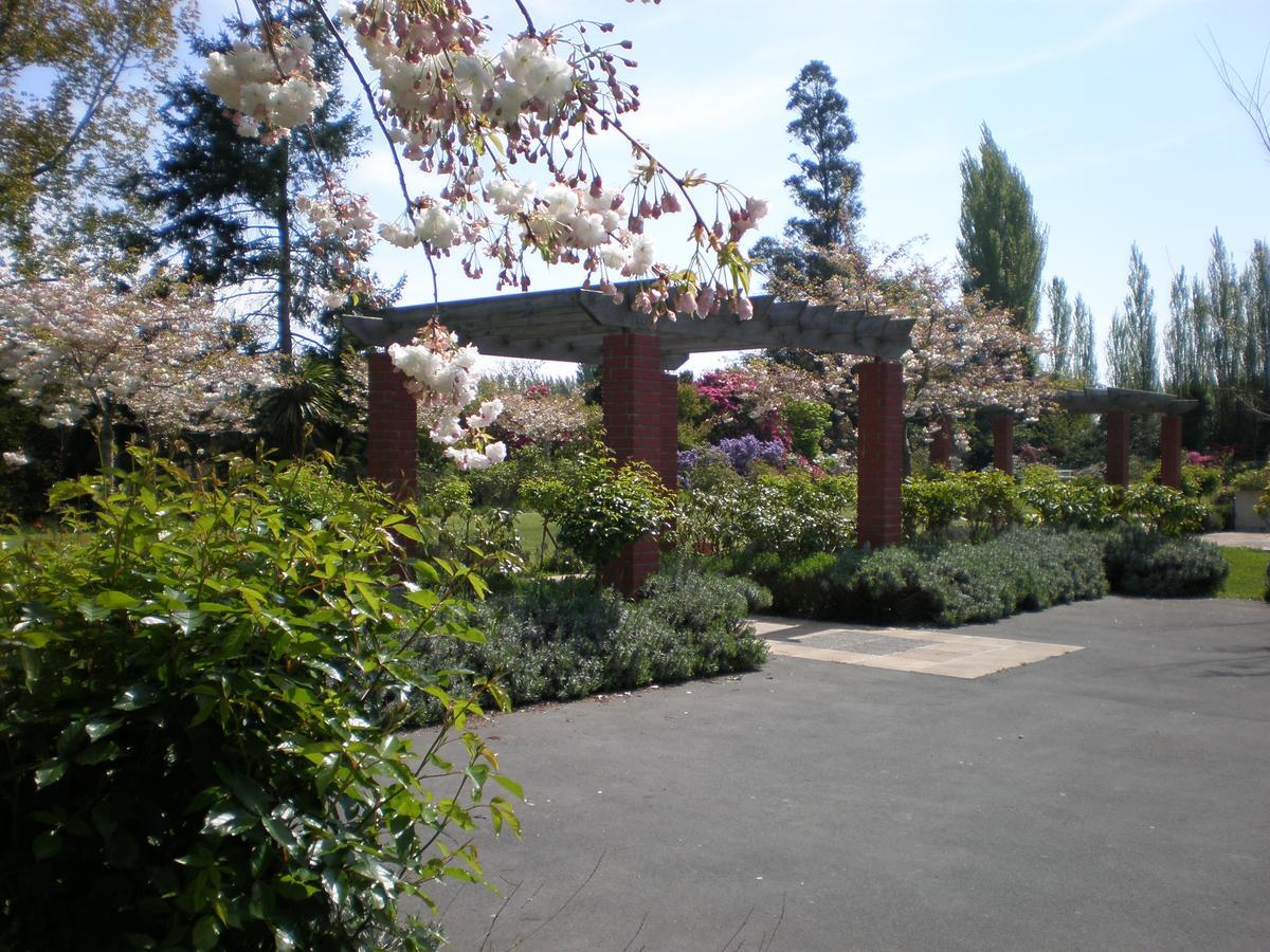 Shamrock Garden B&B Airport Christchurch Exteriör bild