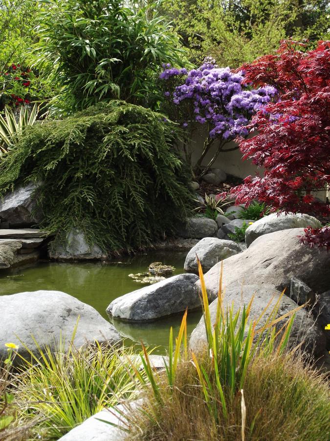 Shamrock Garden B&B Airport Christchurch Exteriör bild