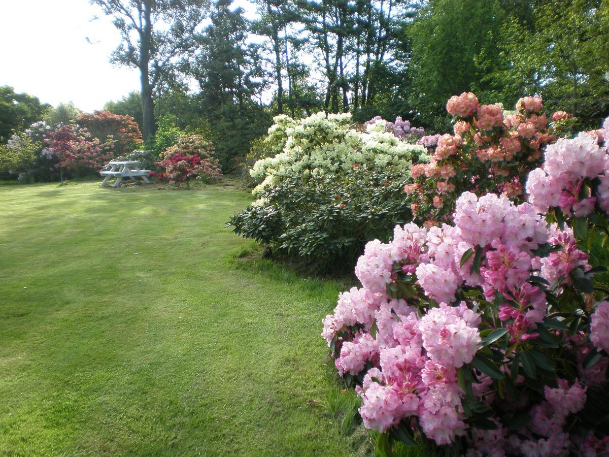 Shamrock Garden B&B Airport Christchurch Exteriör bild